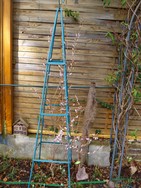 (3) Website_Winter_Schneeforsythie_Strauch mit Rankhilfe.JPG