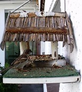 Website_Vögel_Spatz_im Futterhaus.JPG