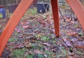 (10) Website_Tiere_Vögel_Spatz unter Futterhäuschen Ende Januar.JPG