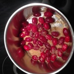 (6) Website_Frühling_Kornelkirsche_Früchte in Zucker.JPG