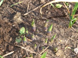 (1) Website_Sommer_Funkien durchtreibend.JPG