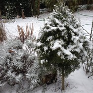 (0.2) Website_Winter_Einführtext_Valerie mit Grasnachbarn.JPG