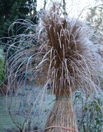 (27) Website_Winter_Einführtext_Graskreation.JPG