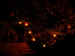 (5) Website_Kurioses_Einführtext_Orakel PhiPhi.JPG