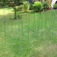 (1) Website_Kurioses_Skulpturen der Ranktürme.JPG