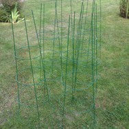 (2) Website_Kurioses_Skulpturen der Ranktürme.JPG